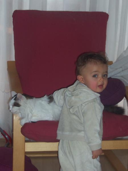 Tel .......Tel fils!!!